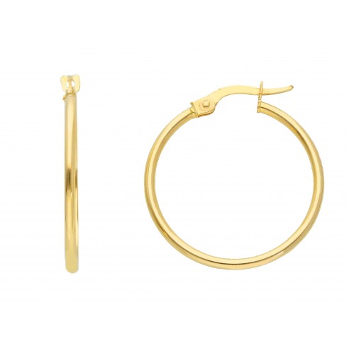 Earrings 14k