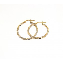 Earrings 14k